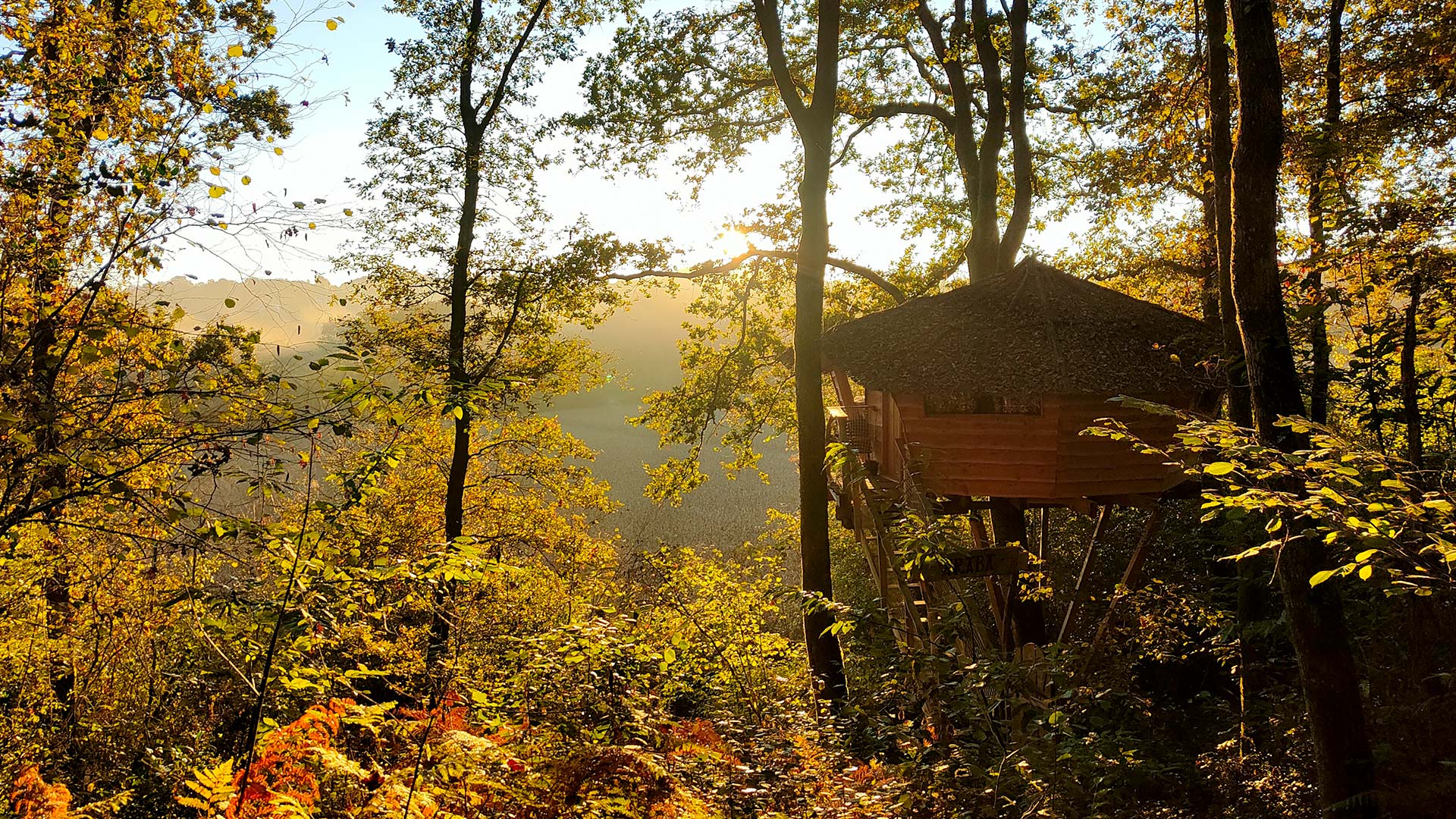 Les cabanes d'Arcangues