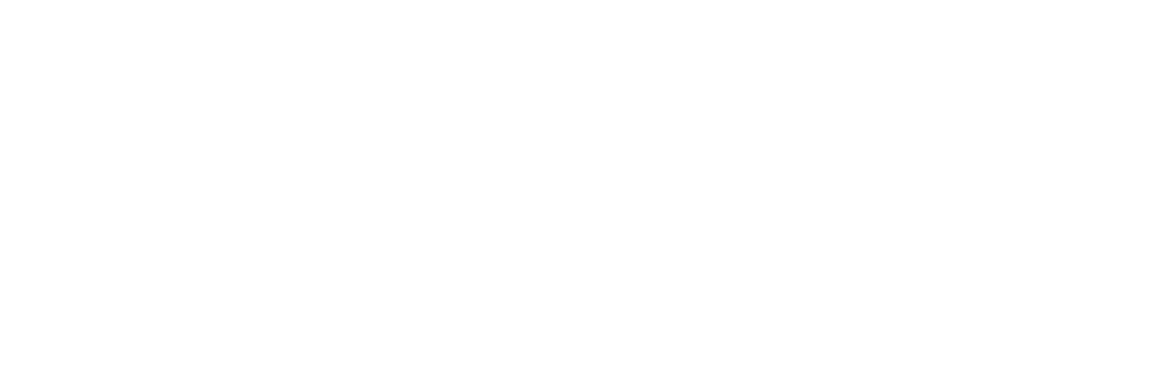 logo light
