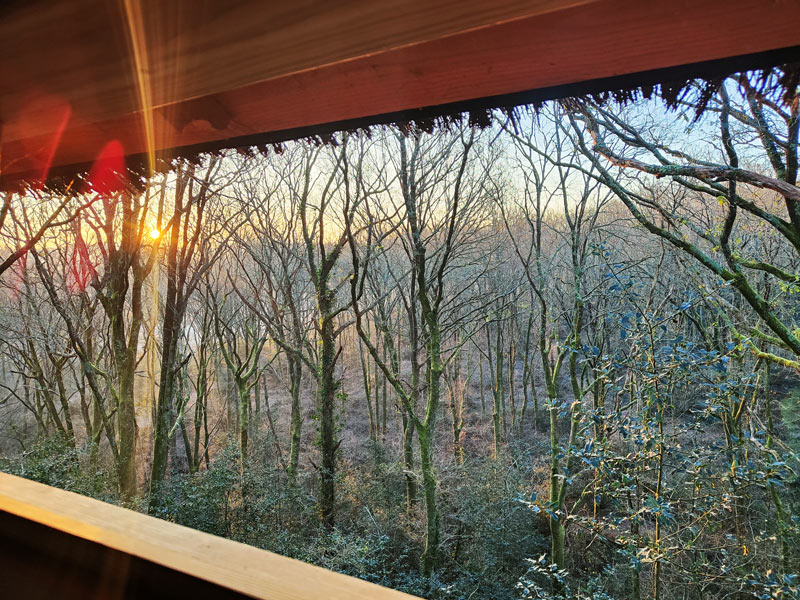 Cabanes dans les arbres Pays Basque Lever de soleil