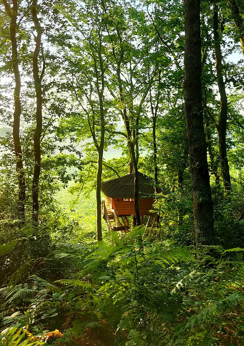 Les cabanes d'Arcangues