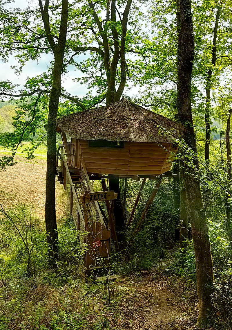 Cabanes dans les arbres Pays Basque