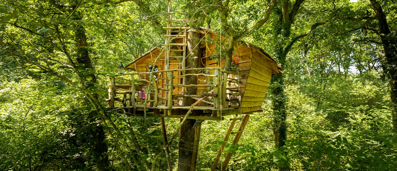 Cabanes dans les arbres Pays Basque