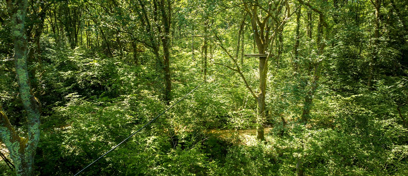 Les cabanes d'Arcangues