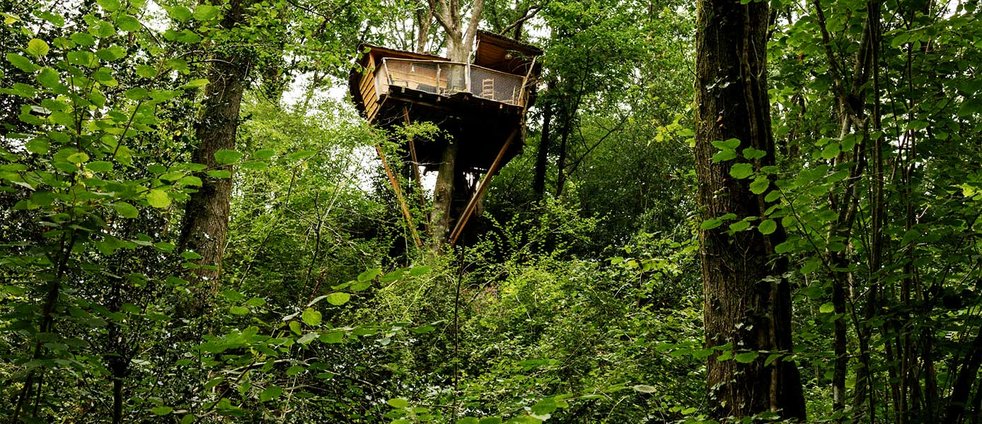 Les cabanes d'Arcangues